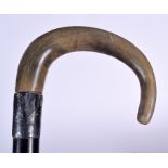 AN EARLY 20TH CENTURY RHINOCEROS HORN HANDLED WALKING STICK, formed with a silver collar. 91 cm lon