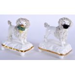 A PAIR OF 19TH CENTURY STAFFORDSHIRE FIGURE OF TWO POODLES upon rectangular base. 9 cm x 9 cm.