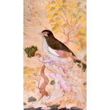 ISLAMIC SCHOOL (20th century) FRAMED PRINT, a bird in a landscape. 25 cm x 15 cm.