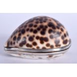 A LARGE GEORGE III SILVER MOUNTED SHELL SNUFF BOX. 8 cm x 4 cm.