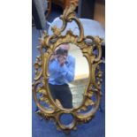 A 19TH CENTURY ITALIAN GILTWOOD CARVED MIRROR, of scrolling floral inspiration. 77 cm x 40 cm.