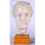 A GREEK PLASTER BUST OF A FEMALE, modelled upon a square wooden plinth. 29 cm high.