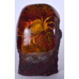A LARGE AMBER COLOURED BOULDER, containing a crab. 24 cm x 14 cm.