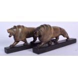 A RARE PAIR OF EARLY 20TH CENTURY RHINOCEROS HORN CARVED LION STATUE, formed stalking with jaws exp