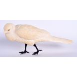 A FINE 19TH CENTURY JAPANESE MEIJI PERIOD CARVED IVORY OKIMONO modelled as a roaming bird. 21 cm x 9