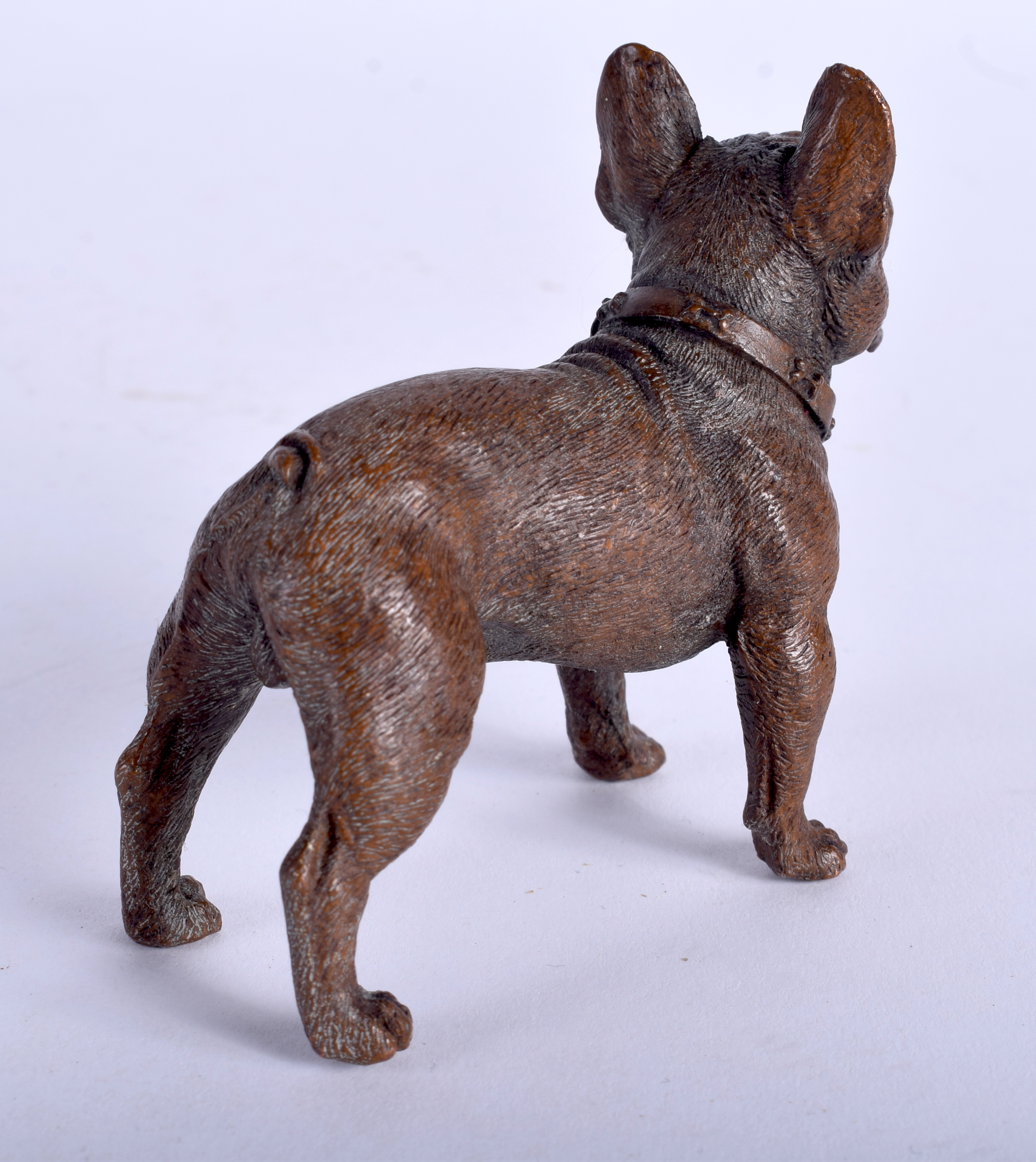 A COLD PAINTED BRONZE BULLDOG. 8 cm x 5 cm. - Bild 2 aus 3