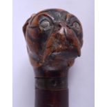 A 19TH CENTURY TREEN PUG DOG HEAD PAGE TURNER probably Black Forest. 28 cm long.