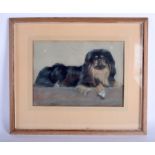 A 1950S PASTEL OF A PEKINESE DOG Dated 1952. Image 36 cm x 25 cm.