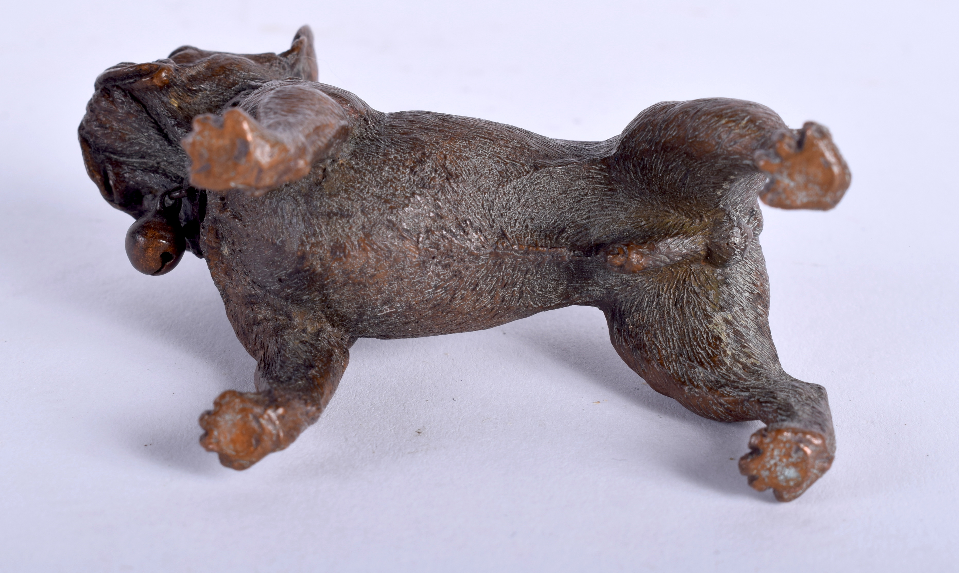 A COLD PAINTED BRONZE BULLDOG. 8 cm x 5 cm. - Bild 3 aus 3