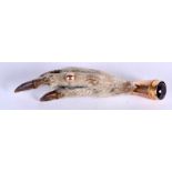 AN ANTIQUE GOLD MOUNTED GROUSE CLAW. 6.25 cm long.
