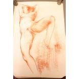 GERARD DUREUX (French 1940-2014), Female Nude, red chalk studies, unsigned, 43" x 29 1/2",