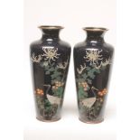 A PAIR OF JAPANESE CLOISONNE ENAMEL VASES of rounded flared square section, inlaid in colours with a