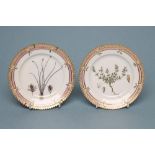 A PAIR OF ROYAL COPENHAGEN PORCELAIN "FLORA DANICA" TEA PLATES of plain circular form centrally