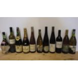 Eleven bottles European wine including two sparkling, and one bottle 2000 Les Jamelles Viognier (