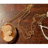 Cameo brooch/pendant in 18 ct gold frame on 9 ct gold chain