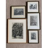 Five framed prints. Marion Rhodes woodland scenes and Stonehenge. Largest 34.5x24cms.