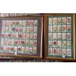 Three framed cigarette card displays of Will's Roses.