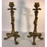 Pair of decorative bronze candlesticks with lions paw feet and salamander. 26cms h.