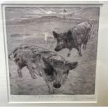 Limited edition print 9/35, Wild Pigs Winter Ice, Wensleydale, 34 x 31cms.