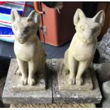 Pair of reconstituted stone garden ornaments of cats. 42cms l
