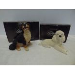 Castagna sculptures, Italy, Burmese Mountain dog, 13cm t and white poodle, 10cms t, as new, boxed.