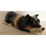 Large pottery figure, Collie sheepdog, new and boxed. 38cms l, 12cms h.