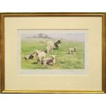 DAVID SHEPHERD, (B. 1931) "COUNTRY COUSINS", limited edition print, signed, numbered 207/850, 16"