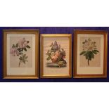 THREE FRAMED PRINTS, (i) After C. Riefel, "R. Decorum", 15" x 10" approx print, 23" x 17" approx