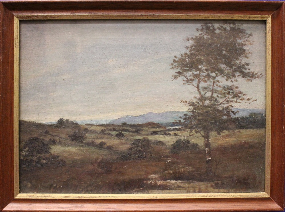 A. FINLAY, "LANDSCAPE WITH TREE", oil on canvas, signed and dated 1915 lower right, 14" x 10" approx