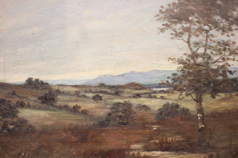 A. FINLAY, "LANDSCAPE WITH TREE", oil on canvas, signed and dated 1915 lower right, 14" x 10" approx - Image 2 of 4