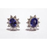 A PAIR OF 18CT WHITE GOLD CEYLON SAPPHIRE & DIAMOND CLUSTER EARRINGS, diamonds 1ct, sapphire 2ct