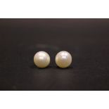 A PAIR OF PEARL STUD EARRINGS, cream/white