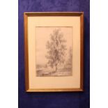 ATTRIBUTED TO JOHN LAPORTE, (IRISH 1761 - 1839) "POPLAR", pencil sketch, inscribed verso with