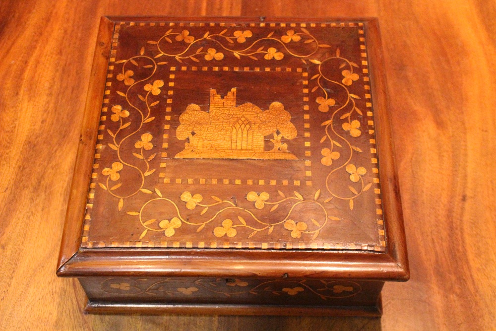 A VERY FINE 19TH CENTURY KILLARNEY-WARE BOX, with central inlaid motif of Muckross Abbey