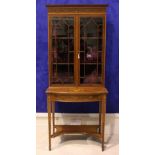 A VERY FINE EDWARDIAN GLAZED DISPLAY CABINET, a single astragal glazed door, with lined shelving,
