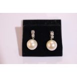 A PAIR OF 18CT WHITE GOLD CULTURED PEARL & DIAMOND DROP EARRINGS