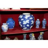 A collection of Chinese blue and white porcelain decorated with blossom and flowers, comprising
