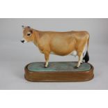 A Royal Worcester bisque porcelain model of a Jersey cow, by Doris Lindner, on wooden stand