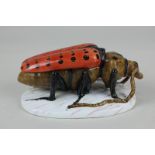 An unusual 19th century porcelain trinket box modelled as a beetle with red and black spotted wings,