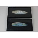 A pair of framed 19th century painted leaves depicting Tabletop Mountain, Cape Town, and a