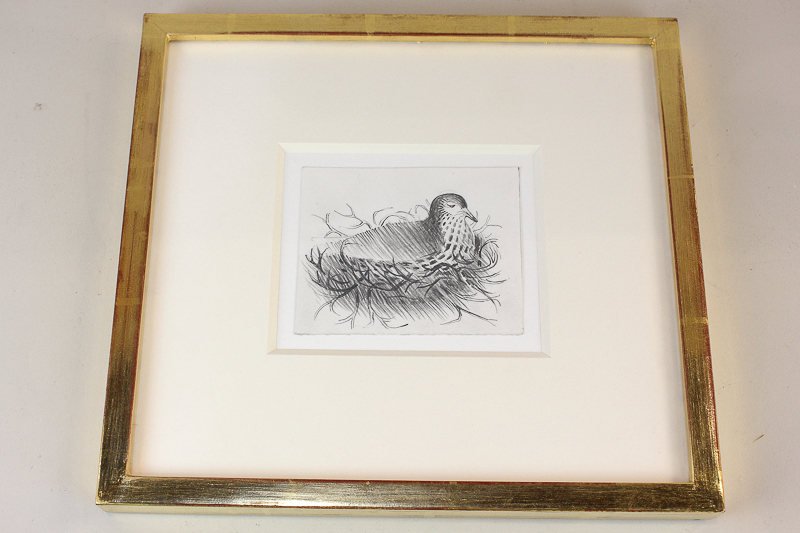 Mary Fedden RA OBE (1915-2012), bird in nest, Nesting, pencil on paper, unsigned, 8.7cm by 10.7cm,