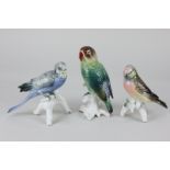 Three Karl Ens porcelain models of birds, to include a parrot, 15cm, and a budgerigar, 12.5cm