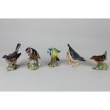 A collection of five Beswick models of birds, comprising a wren, 6cm, a nuthatch, 7.5cm, a blue tit,