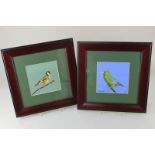 Robert Rampton, two studies of birds, a greenfinch and a goldfinch, oil on board, signed, both