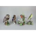 Three large Royal Worcester porcelain models of birds, Little Owl 56/250, Robin 146/250, and Wood
