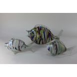 Three Venetian coloured glass ornaments of flat fish, longest 33cm