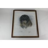 Marjorie Cox (1917-2003), a Pekingese dog, Kate, pastel, inscribed, signed and dated 1976, 47cm by