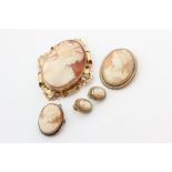 A large shell cameo brooch in gold mount, a shell cameo brooch with seed pearl border, and a pair of