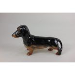 A Beswick porcelain model of a standing dachshund (model 361) in black and tan gloss, 14cm high