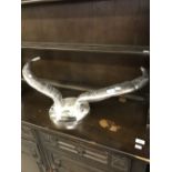 Transport: Modern pair of aluminium cow horns, used to adorn a van or lorry. 32ins.